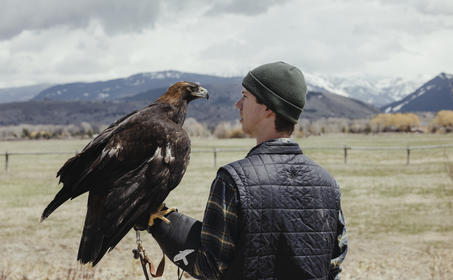 Amangani, USA - Experiences, Teton Raptor Centre.